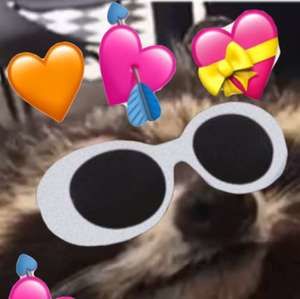 Meet your Posher, Roberto